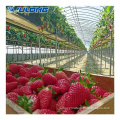 /msite/products/detail/productid/62881370/id/1512459.html